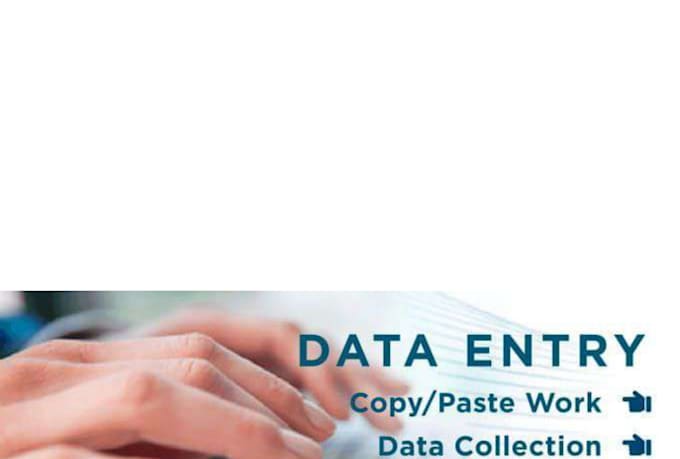 fast and accurate data entry, excel work, copy paste, and web research